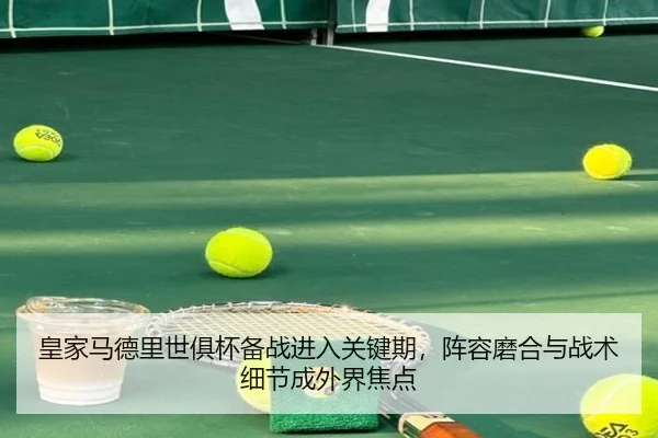 皇家马德里世俱杯备战进入关键期，阵容磨合与战术细节成外界焦点